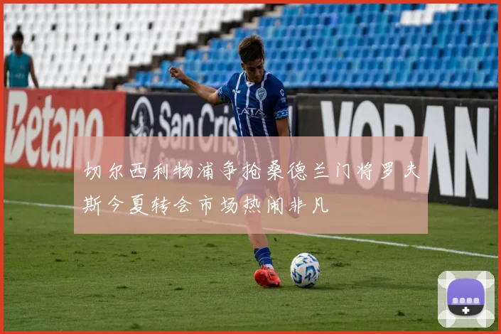 切尔西利物浦争抢桑德兰门将罗夫斯今夏转会市场热闹非凡